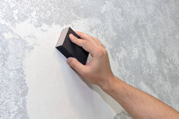 Mold Documentation for Insurance Claims in Santa Fe, NM