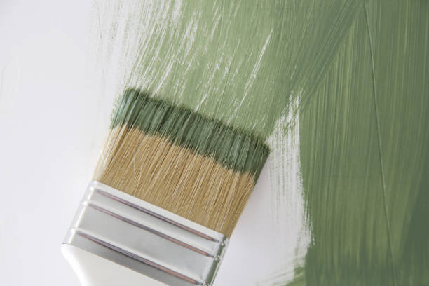 Best Mold Remediation for Healthcare Facilities  in Santa Fe, NM