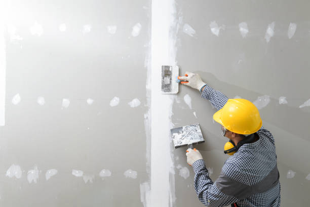 Best Black Mold Removal  in Santa Fe, NM
