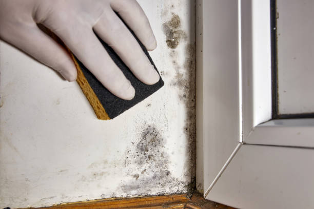 Best Residential Mold Inspection & Testing  in Santa Fe, NM
