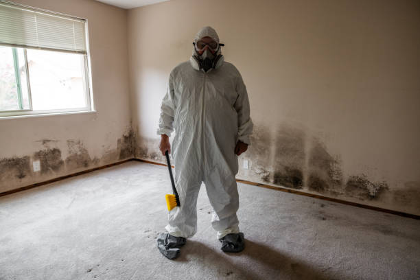 Best Industrial Mold Remediation  in Santa Fe, NM
